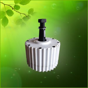 Rare earth permanent magnet alternator